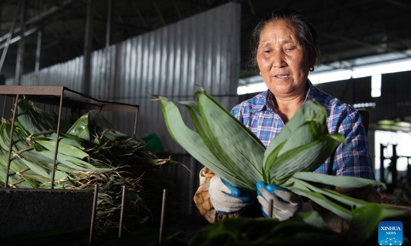 A villager selects bamboo leaves at a company at Xitian Village of Xiuning County, Huangshan City of east China's Anhui Province, June 15, 2026. Shiren Village, dubbed the hometown of zongzi (sticky rice dumplings) in ancient Huizhou, boasts a long tradition of zongzi making. The annual sales of zongzi in the village has reached 900,000 yuan (about 133,000 U.S. dollars). (Xinhua/Zhang Duan)