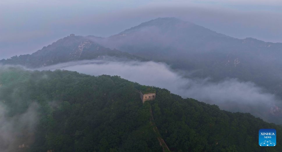 An aerial drone photo taken on June 18, 2026 shows the scenery of a section of the Great Wall in the morning in Zunhua City, north China's Hebei Province. (Photo by Liu Mancang/Xinhua)