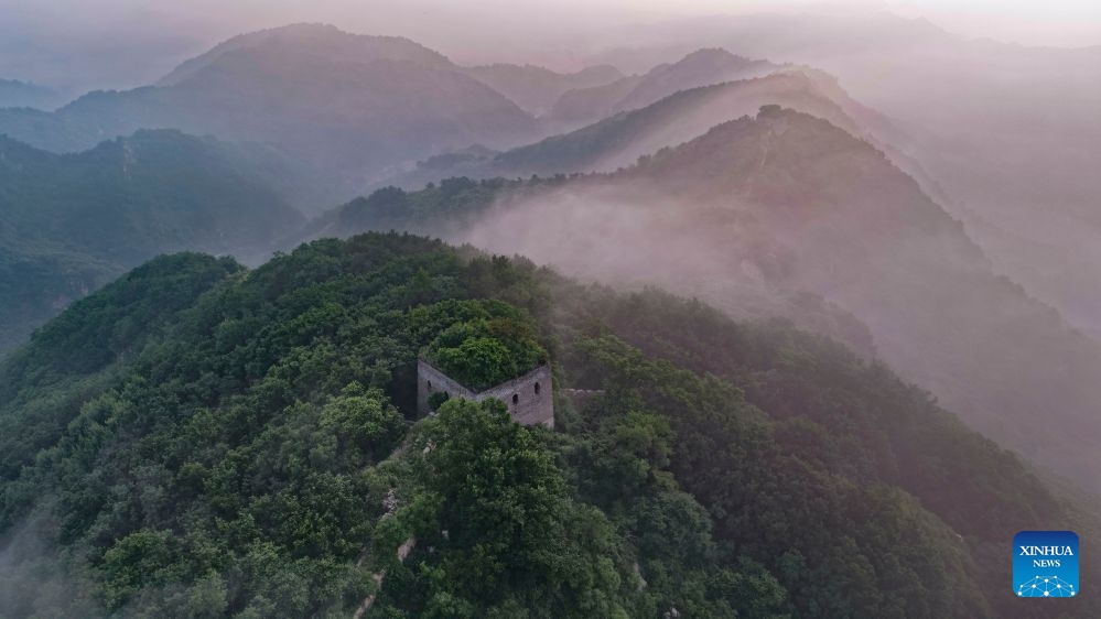 An aerial drone photo taken on June 18, 2026 shows the scenery of a section of the Great Wall in the morning in Zunhua City, north China's Hebei Province. (Photo: Xinhua)