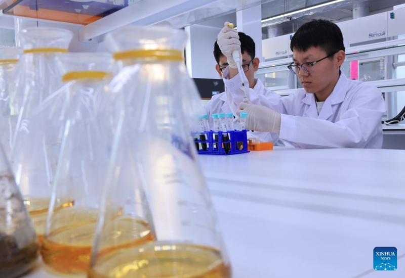 Staff members work at a bioengineering lab of the National Modern TCM Innovation Center in north China's Tianjin, June 18, 2026. The National Modern TCM Innovation Center has been dedicated to improving the quality and efficiency of the traditional Chinese medicine (TCM) industry. It focuses on areas such as high-quality TCM material supply, modernized TCM production, intelligent transformation of equipment, and market-oriented application. Photo: Xinhua
