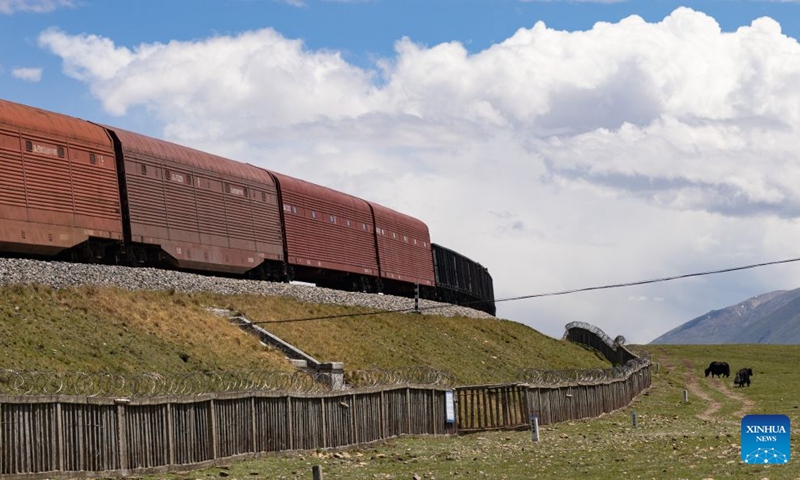 Yaks graze near the Qinghai-Xizang Railway in Seni District of Nagqu, southwest China's Xizang Autonomous Region, June 18, 2026. As the Qinghai-Xizang Railway stretches across the northern Tibetan Plateau, it has built not only dedicated wildlife crossings, but also many culverts and bridges to serve as ecological corridors for livestock such as cattle and sheep. (Xinhua/Li Mengxin)