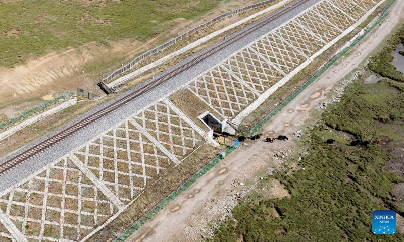 An aerial drone photo taken on June 18, 2026 shows a herd of yaks passing through a culvert beneath the Qinghai-Xizang Railway in Seni District of Nagqu, southwest China's Xizang Autonomous Region. As the Qinghai-Xizang Railway stretches across the northern Tibetan Plateau, it has built not only dedicated wildlife crossings, but also many culverts and bridges to serve as ecological corridors for livestock such as cattle and sheep. (Xinhua/Jigme Dorje)