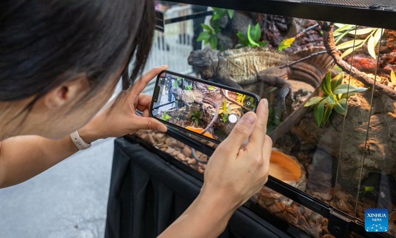 A woman takes photos during the 2026 Beijing World Reptiles Expo in Pinggu District, Beijing, capital of China, June 19, 2026. The event takes place here from June 19 to 21. Photo: Xinhua