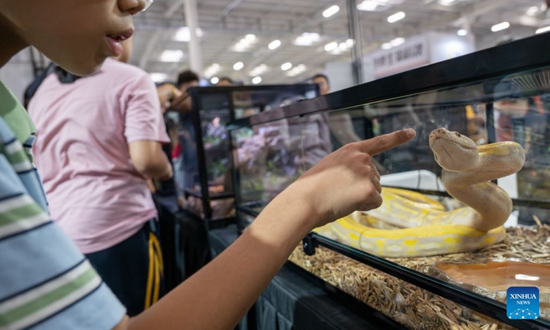 A child visits the 2026 Beijing World Reptiles Expo in Pinggu District, Beijing, capital of China, June 19, 2026. The event takes place here from June 19 to 21. Photo: Xinhua
