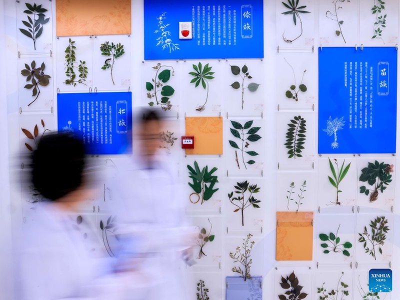 Staff members walk past a wall displaying traditional Chinese medicine at the National Modern TCM Innovation Center in north China's Tianjin, June 18, 2026. The National Modern TCM Innovation Center has been dedicated to improving the quality and efficiency of the traditional Chinese medicine (TCM) industry. It focuses on areas such as high-quality TCM material supply, modernized TCM production, intelligent transformation of equipment, and market-oriented application. Photo: Xinhua