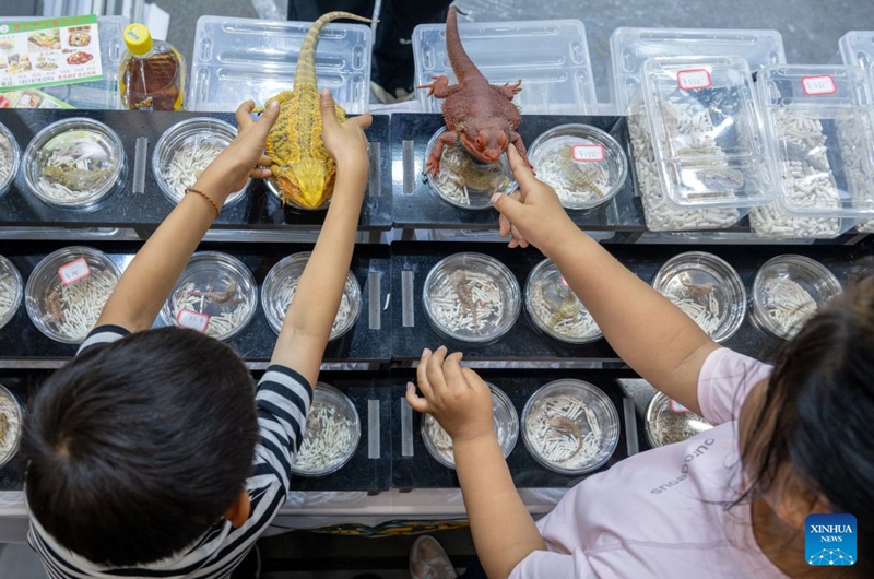 Children visit the 2026 Beijing World Reptiles Expo in Pinggu District, Beijing, capital of China, June 19, 2026. The event takes place here from June 19 to 21. Photo: Xinhua