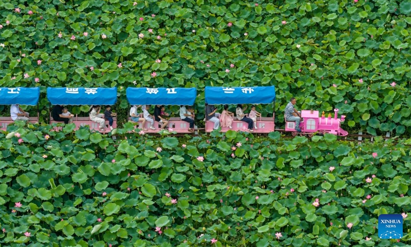 An aerial drone photo taken on June 21, 2026 shows tourists taking a train for sightseeing amid lotus flowers at Wangxiang Village of Liangnong Town, Yuyao, east China's Zhejiang Province. People enjoyed the three-day holiday of the Dragon Boat Festival, also called Duanwu Festival, which falls on June 19 this year, via various activities across the country. (Photo by Zhang Hui/Xinhua)