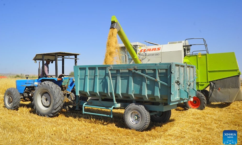 A farmer loads freshly harvested wheat onto a truck in a field in Borj El Amri, Tunisia, June 21, 2026. (Photo by Adel Ezzine/Xinhua)

