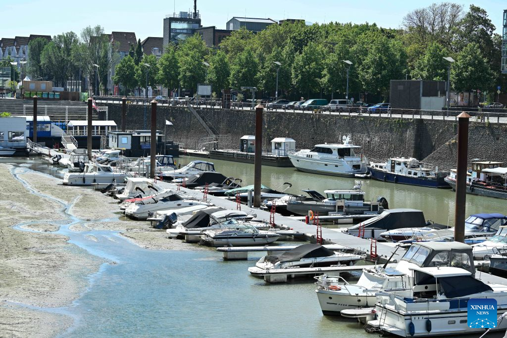 Parked ships are seen at the bank of the Rhine River in Cologne, Germany, Aug. 10, 2026. Persistent drought has caused water levels to fall along several sections of the Rhine River in Germany. (Photo by Ulrich Hufnagel/Xinhua)
