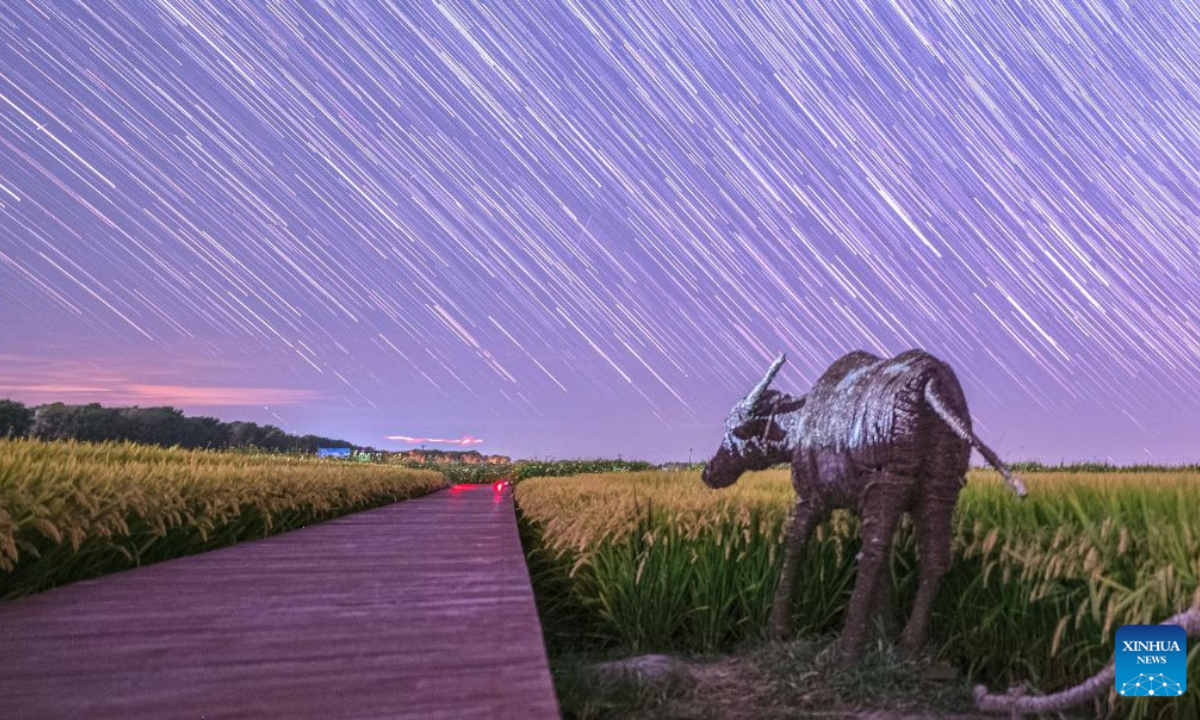 This stack composite photo taken on Sept. 19, 2026 shows a paddy field under starry sky in Zhaodong City, northeast China's Heilongjiang Province. (Photo by Liu Dapeng/Xinhua)