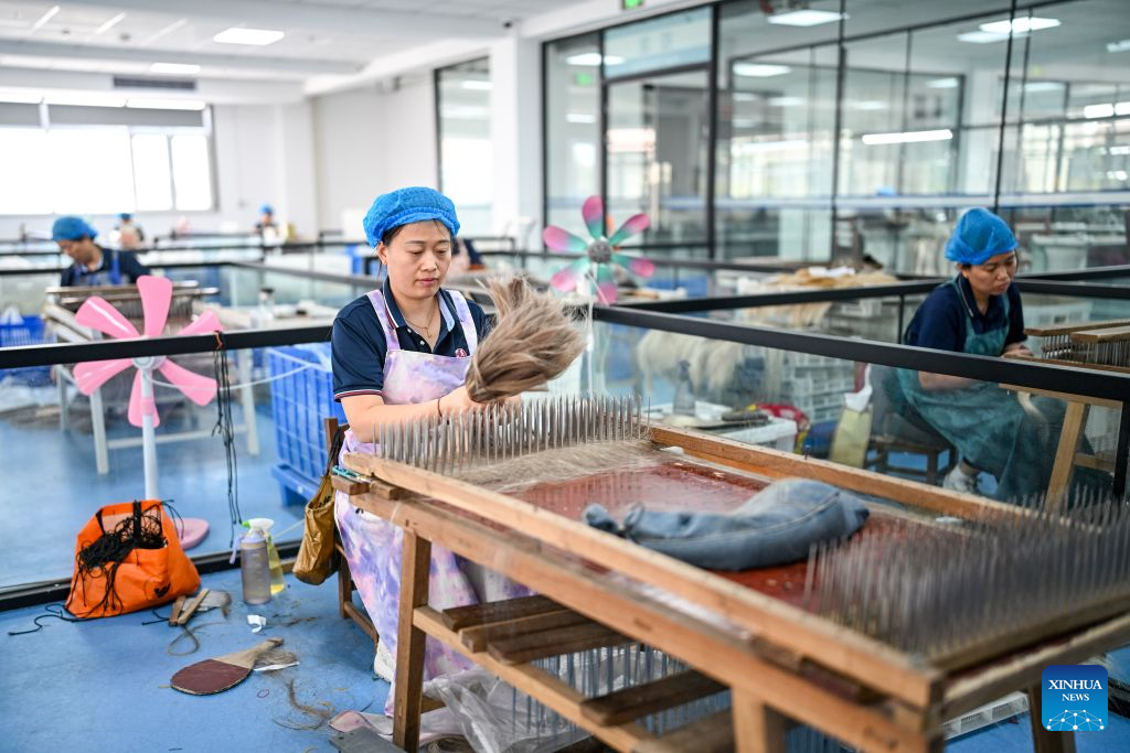 Staff members work on hair products at Juancheng Changshunfa Hair Product Co., Ltd. in Juancheng County of Heze City, east China's Shandong Province, Sept. 17, 2026. In recent years, Juancheng County has taken multiple measures to promote the high-quality development of its hair products industry, establishing a complete industrial chain that integrates raw material procurement, product processing, and export trade. Hair products from Juancheng are exported to North America, Europe, Africa, and other regions. The hair products industry has become a leading sector driving local industrial growth and increasing residents' incomes. (Xinhua/Chen Yehua)