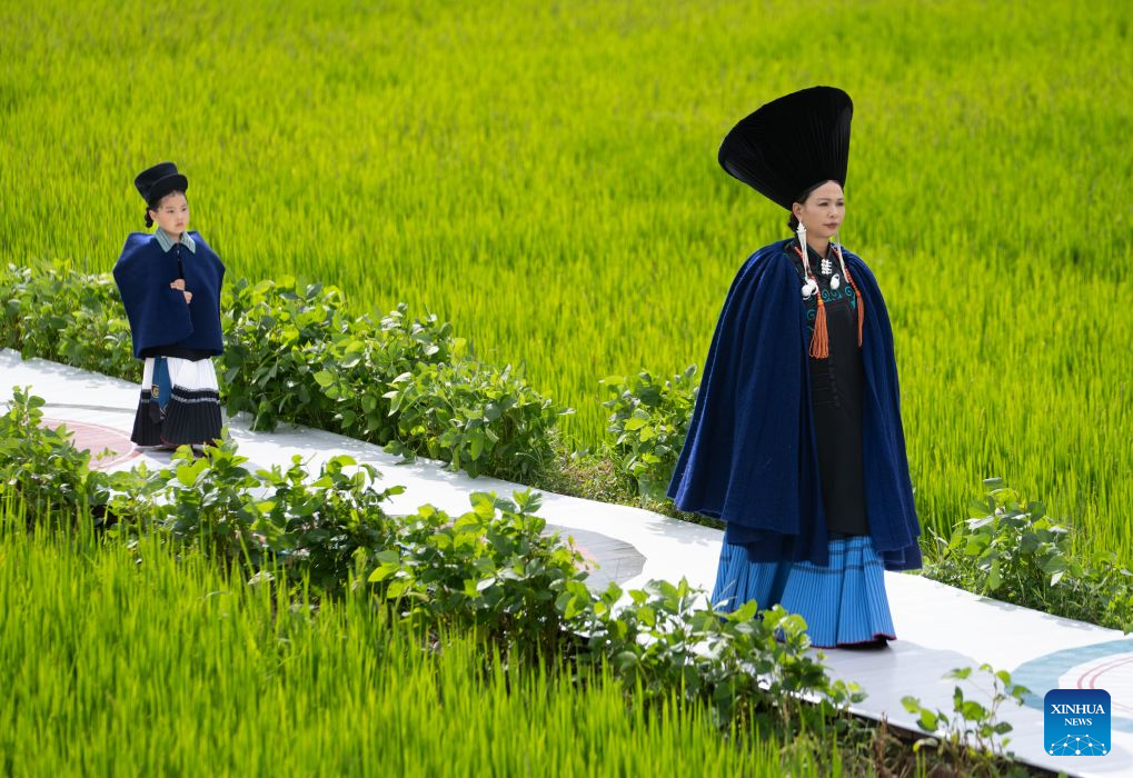 Models dressed in traditional ethnic costumes walk amid a rice field during a fashion show at Qietuo Village in Yuexi County of Liangshan Yi Autonomous Prefecture, southwest China's Sichuan Province, on Aug. 4, 2026. Sixty models from across the Liangshan Yi Autonomous Prefecture on Tuesday showcased traditional ethnic costumes and fashion creations here. (Xinhua/Jiang Hongjing)