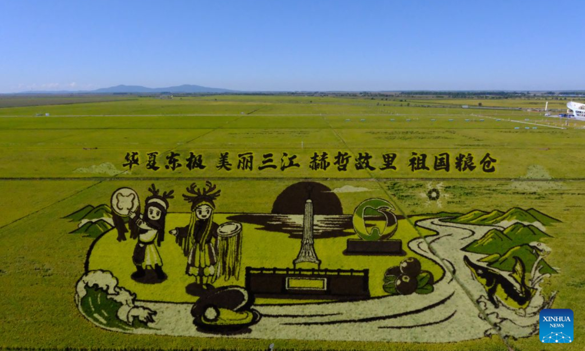 This photo taken on Sept. 5, 2026 shows a rice paddy art piece at a rice park in Fujin City, northeast China's Heilongjiang Province. (Xinhua/Ji Hang)