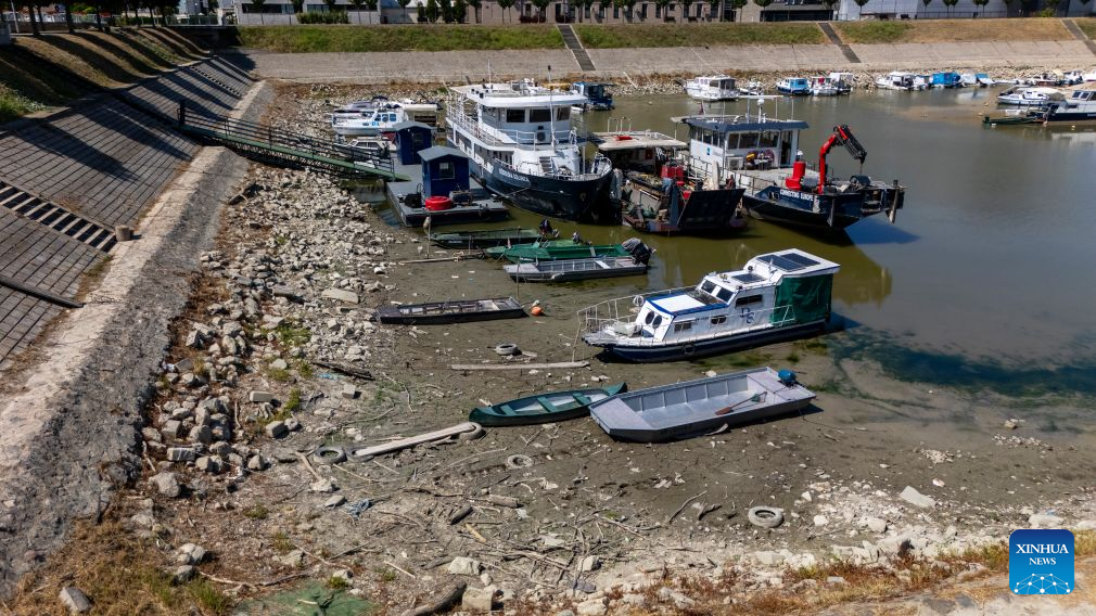 This aerial drone photo taken on Aug. 4, 2026 shows the exposed riverbed of the Danube River near Vukovar, Croatia after a prolonged heatwave. (Davor Javorovic/PIXSELL via Xinhua)
