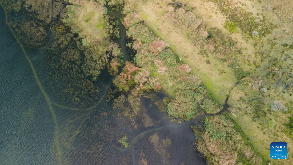 An aerial drone photo taken on Aug. 20, 2026 shows a view of Lake St. Lucia at iSimangaliso Wetland Park in KwaZulu-Natal Province, South Africa. Located in northern KwaZulu-Natal Province, the park features a rich diversity of ecosystems, including lakes, wetlands, beaches and coastal forests. It was inscribed on the UNESCO World Heritage List in 1999. (Xinhua/Chen Wei)