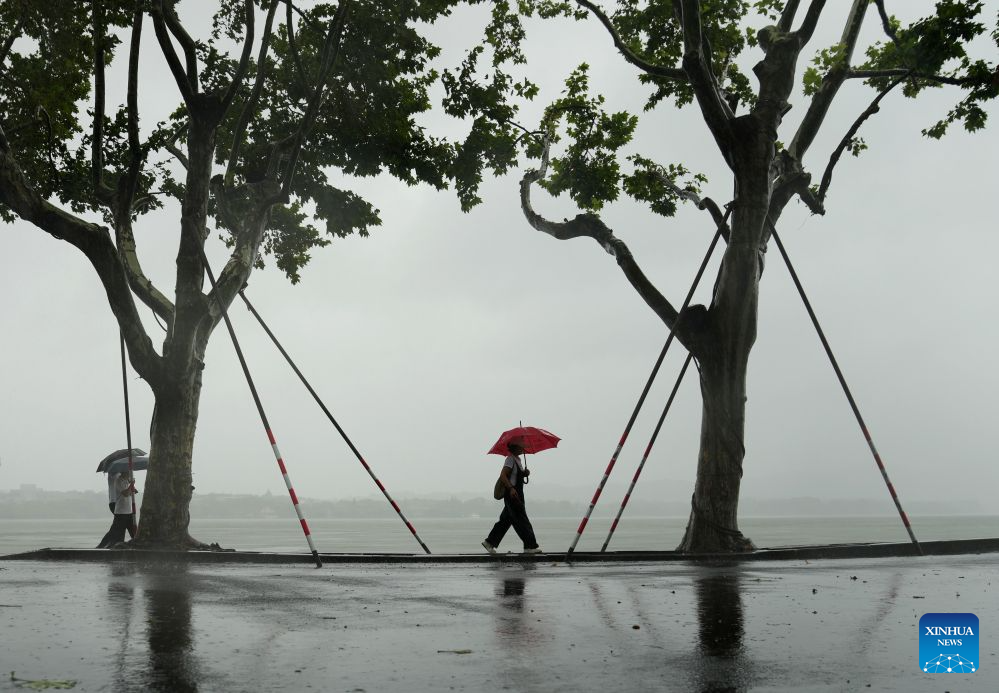 Visitors walk past temporarily reinforced trees along the West Lake in Hangzhou, east China's Zhejiang Province, Aug. 9, 2026. China's national observatory on Sunday activated a red alert -- the highest level in the country's typhoon warning system -- as Typhoon Dolphin approaches. Typhoon Dolphin is forecast to make landfall along the country's east coast from Zhoushan in Zhejiang Province to Fuding in Fujian Province, according to the National Meteorological Center (NMC). (Xinhua/Han Chuanhao)