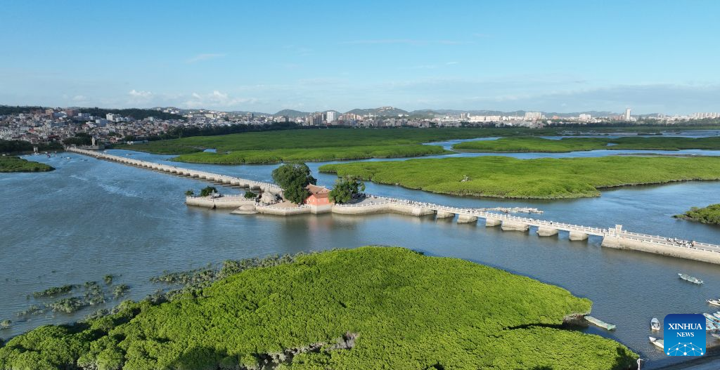 An aerial drone photo taken on Aug. 18, 2026 shows a view of Luoyang Bridge in Quanzhou, southeast China's Fujian Province. Luoyang Bridge, also known as Wan'an Bridge, is a component of the UNESCO World Heritage site Quanzhou: Emporium of the World in Song-Yuan China.
In recent years, Quanzhou has woven cultural heritage into daily life by introducing intangible cultural heritage programs and cultural and creative businesses, attracting more tourists to the area. (Xinhua/Lin Shanchuan)