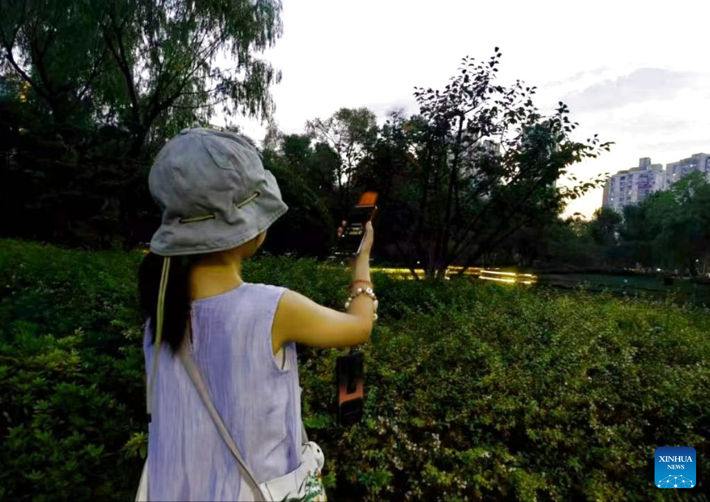 This undated photo shows a girl holding a smartphone connected to a detection device while searching for bats in east China's Shanghai. (Xinhua)