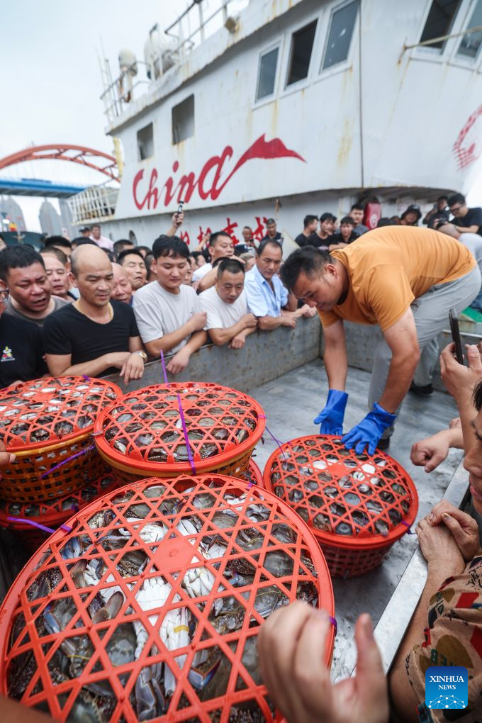 Fishermen load baskets of swimming crabs for transportation at a fishing port of an aquatic products market in Zhoushan City, east China's Zhejiang Province, Aug. 12, 2026. Special licensed fishing vessels set sail for the East China Sea as the summer fishing moratorium was partially lifted on Tuesday. (Xinhua/Xu Yu)