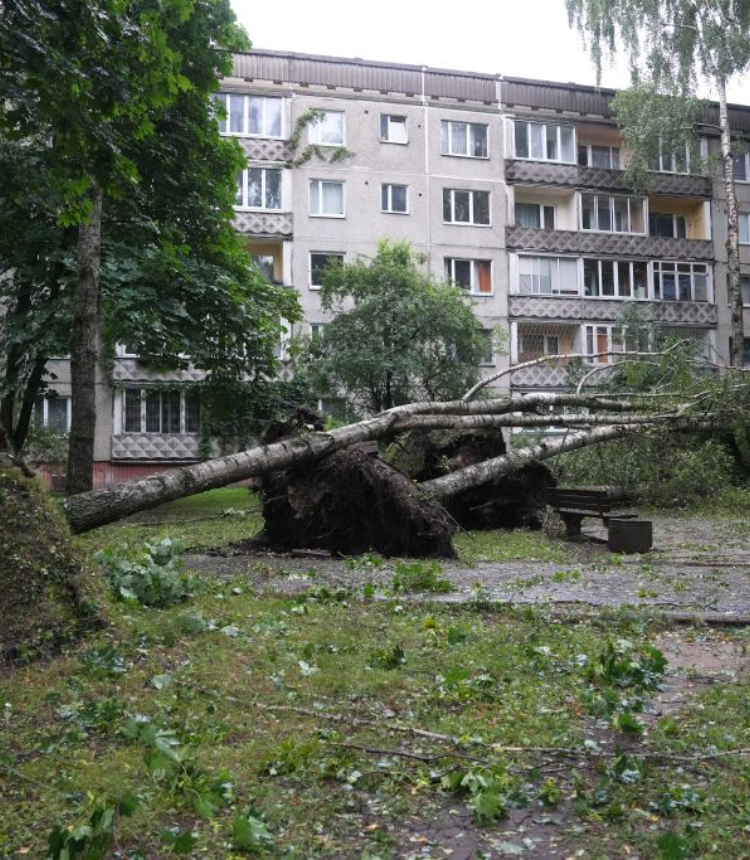 This photo taken on Aug. 23, 2026 shows the aftermath of a powerful storm in Riga, Latvia. A powerful cyclone swept northward across the three Baltic states on Saturday, killing two as strong winds, torrential rain and thunderstorms ravaged Lithuania, Latvia and Estonia.

Meteorological data showed Saturday's storm was the most destructive to hit Latvia since January 2005. (Photo by Edijs Palens/Xinhua)