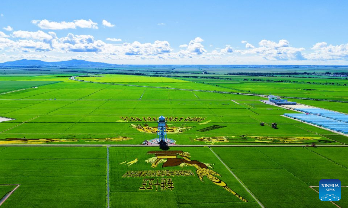 This photo taken on July 29, 2026 shows a panoramic view of rice paddy art pieces at a rice park in Fujin City, northeast China's Heilongjiang Province. (Xinhua)