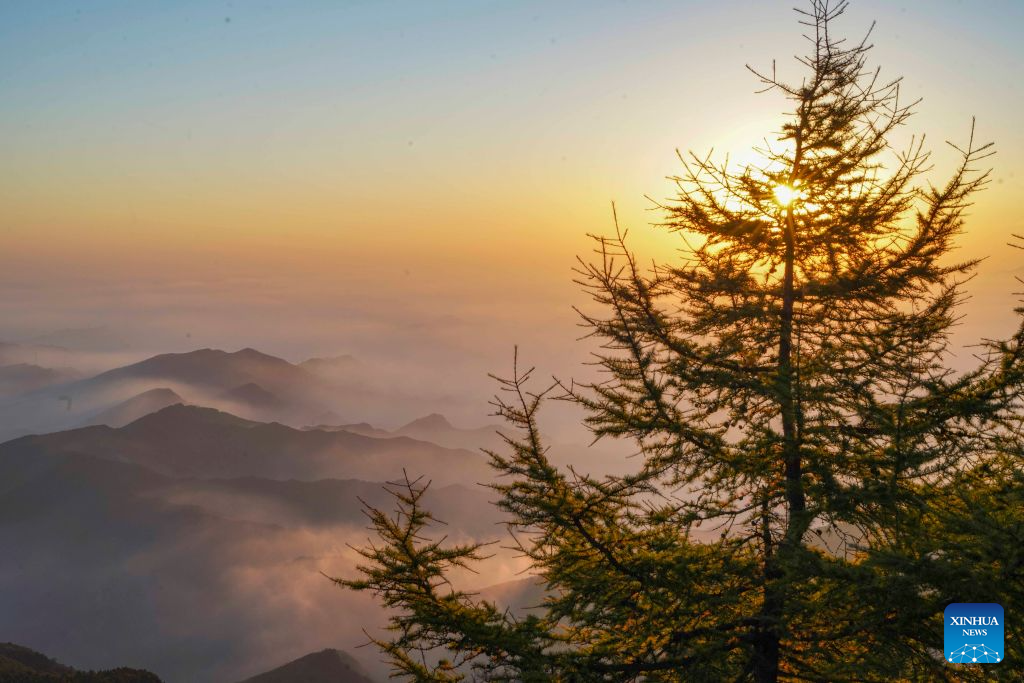 This photo taken on Sept. 16, 2026 shows the morning scenery at Wuling Mountain National Nature Reserve in Xinglong County of Chengde City, north China's Hebei Province. (Photo by Liu Mancang/Xinhua)