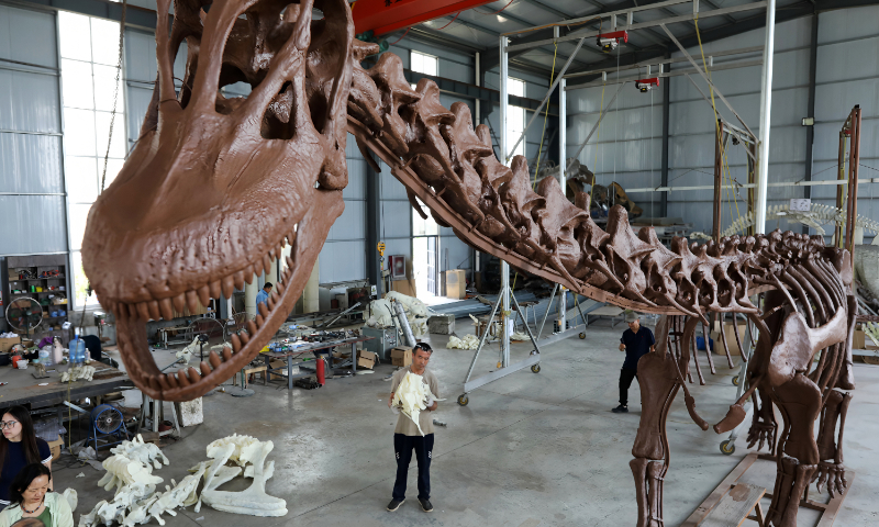 Workers paint and polish a giant dinosaur skeleton model at a workshop of Shandong Haibaihe Environmental Art Co in Binzhou, East China's Shandong Province, on August 25, 2026. Known as a 