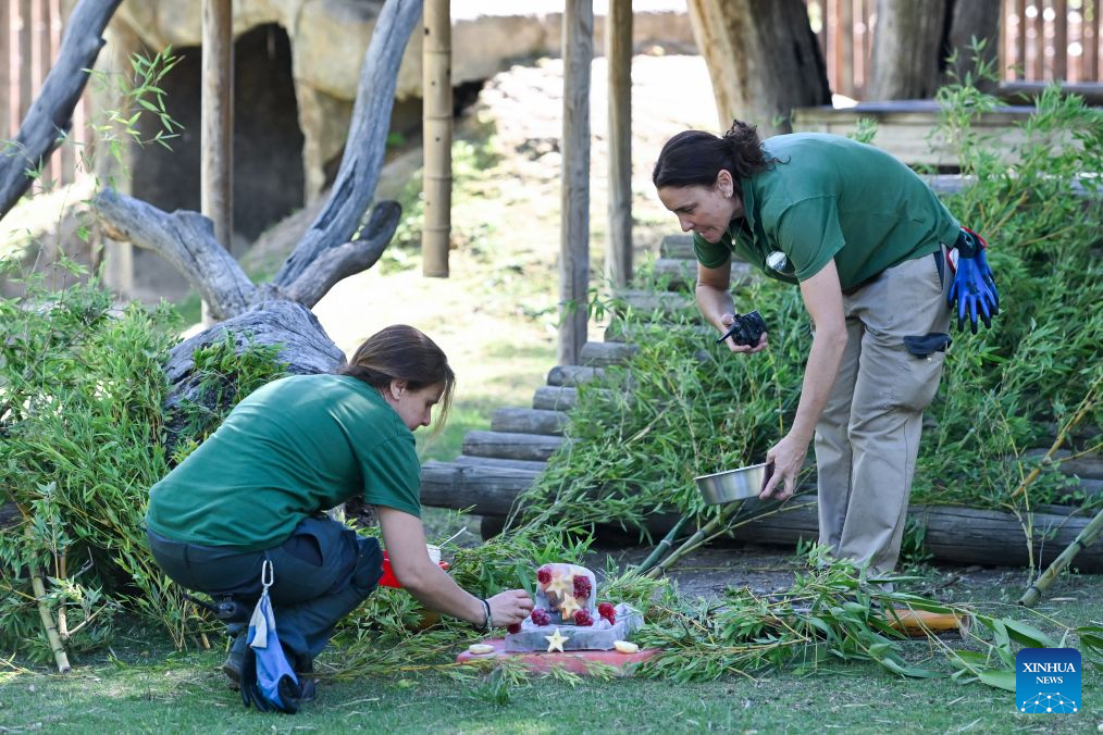 Staff members prepare cooling treats for animals at Zoo Aquarium Madrid in Madrid, Spain, on July 2, 2026. As high temperatures persist across much of Spain, Zoo Aquarium Madrid helped its animals beat the heat by providing frozen treats made from fruits, vegetables and meat. (Photo by Gustavo Valiente/Xinhua)