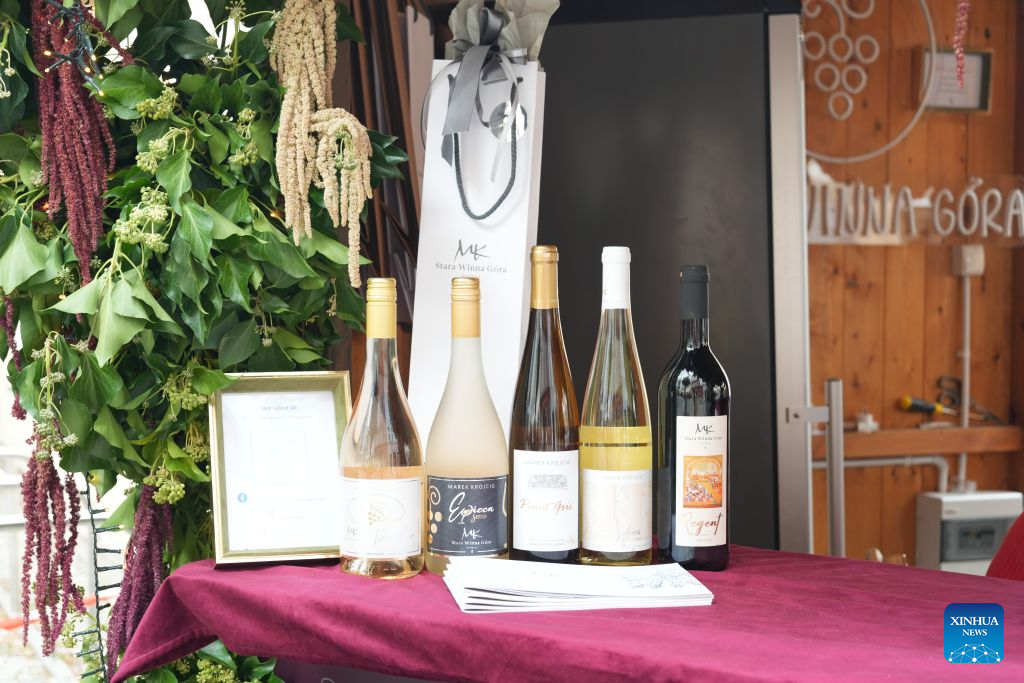 Wines are seen at a stall during the Winobranie Wine Festival in Zielona Gora, Poland, Sept. 13, 2026. (Xinhua/Yue Yuanyuan)