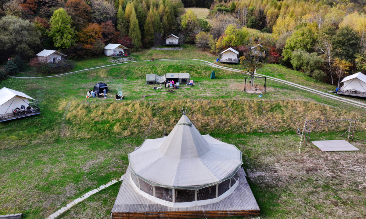 Tourists pitch tents and camp in a wooded area in Harbin, Northeast China’s Heilongjiang Province, on October 3, 2026. Photo: VCG