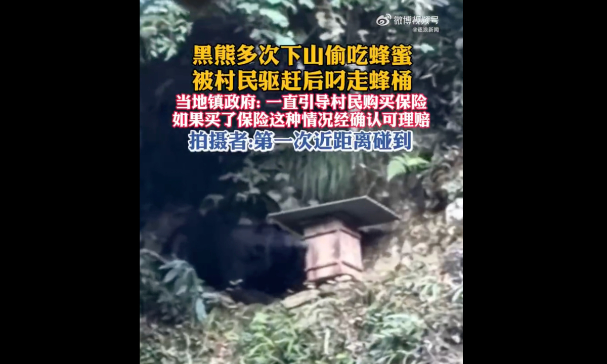 Photo: Screenshot from Sina Weibo