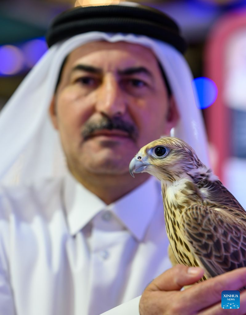 An exhibitor shows a falcon during the 10th Katara International Hunting and Falconry Exhibition, known as S'hail 2026, in Doha, Qatar, Sept. 8, 2026.

The event opened on Tuesday in Doha, bringing together 158 relevant companies and entities from 15 countries.

Running until Sept. 12, this year's edition features five main sections covering hunting weapons, falcon sales, equipment, off-road vehicle outfitting, and restaurants. Participants also include veterinary clinics, breeding farms, handicraft businesses, and safari and outdoor equipment companies. (Photo by Nikku/Xinhua)