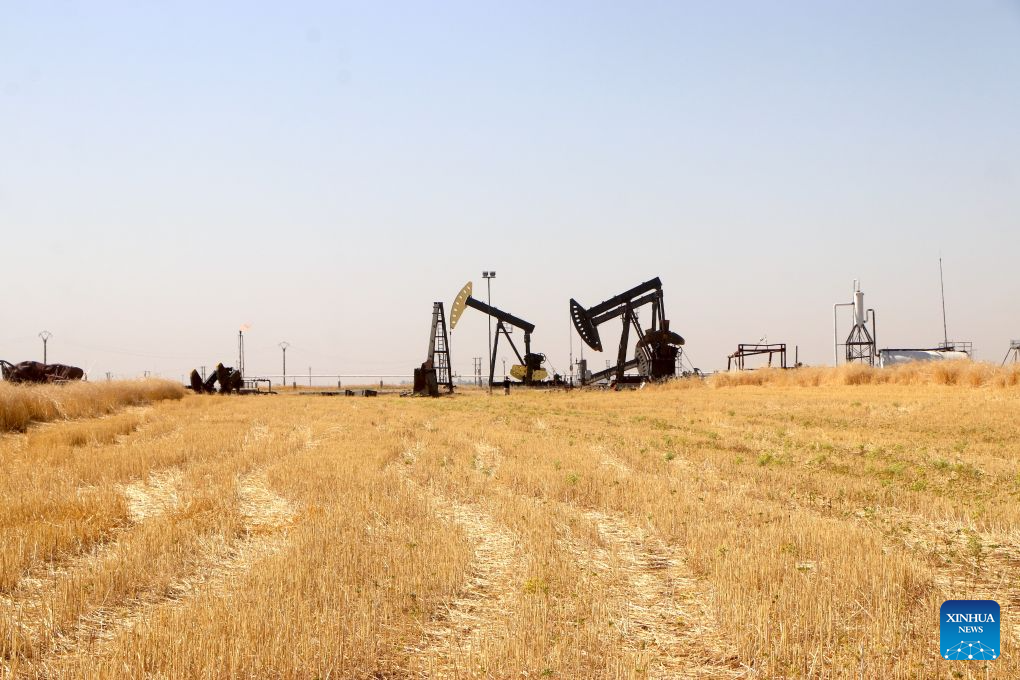 Pumpjacks are seen at the Rmelan oil fields in Hasakah province, northeastern Syria, Aug. 4, 2026. Officials said rehabilitation projects are expected to modernize production facilities and gradually raise output at the country's largest oil fields. (Str/Xinhua)