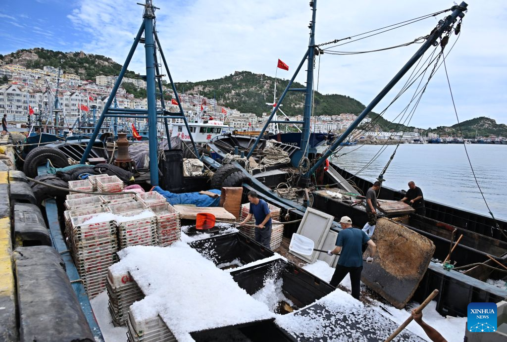 Fishermen load ice onto fishing boats before heading toward fishing grounds at a port in Qingdao, east China's Shandong Province, Sept. 1, 2026. The new fishing season in the Yellow Sea and Bohai Sea kicked off on Tuesday after a four-month summer fishing moratorium. (Xinhua/Li Ziheng)