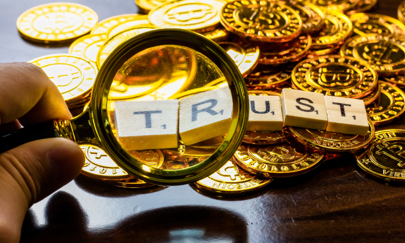 Trust Illustration: VCG