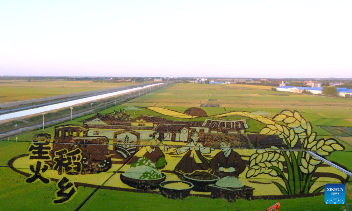 This photo taken on Sept. 5, 2026 shows a rice paddy art piece in Xinghuo Village of Huachuan County, northeast China's Heilongjiang Province. (Xinhua/Ji Hang)