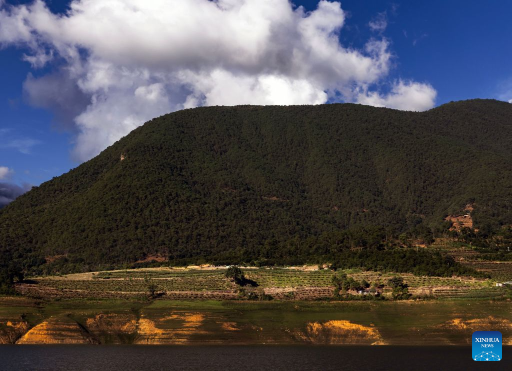 This photo taken on July 26, 2026 shows a tea garden along the Lancang River in Fengqing County of Lincang City in southwest China's Yunnan Province. (Photo by Lan Hongguang/Xinhua)