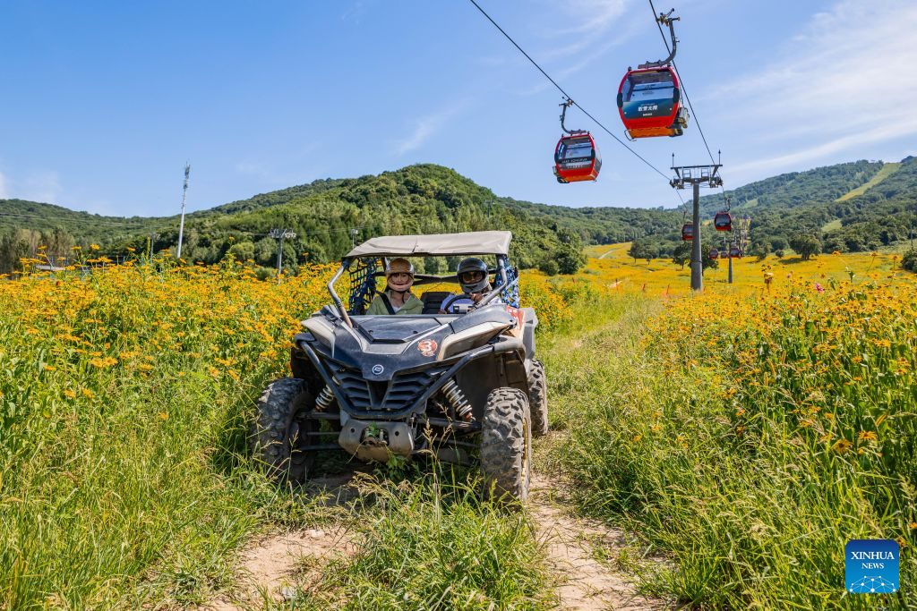 Tourists drive an off-road vehicle at the Lake Songhua Resort in Jilin City, northeast China's Jilin Province, Aug. 12, 2026. The Lake Songhua Resort, located in Jilin City, is a national-level ski tourism resort. In recent years, relying on its mountain resources, the resort has extended operation in other seasons except for winter, attracting tourists with natural scenery and mountain sports.

Since April 25 this year, the resort has received a total of 200,000 visitors, a year-on-year growth of 20 percent. From popular destination in winter to year-round operation, the tourism potential of the resort is being fully tapped, promoting the high-quality development of the local cultural and tourism industry. (Xinhua/Zhang Nan)