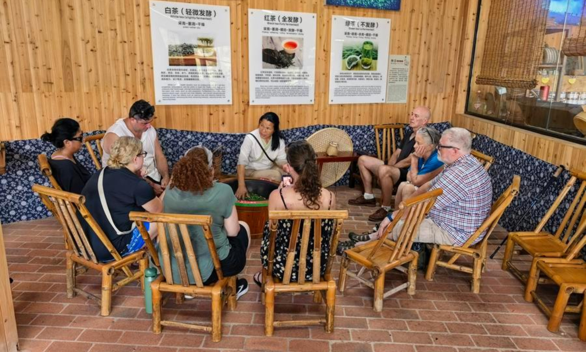 Foreign travelers experience tea making at a tea garden in Yangshuo County of Guilin, south China's Guangxi Zhuang Autonomous Region, July 1, 2026. (Photo by Zhao Tangyan/Xinhua)