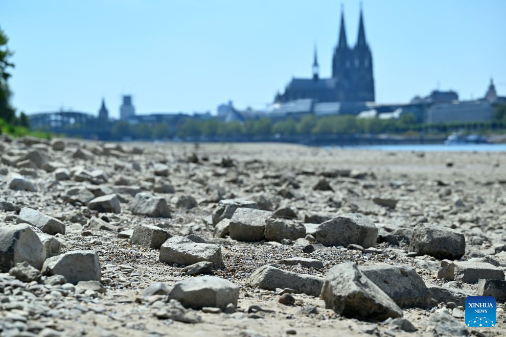 The banks of the Rhine River are pictured in Cologne, Germany, Aug. 10, 2026. Persistent drought has caused water levels to fall along several sections of the Rhine River in Germany. (Photo by Ulrich Hufnagel/Xinhua)