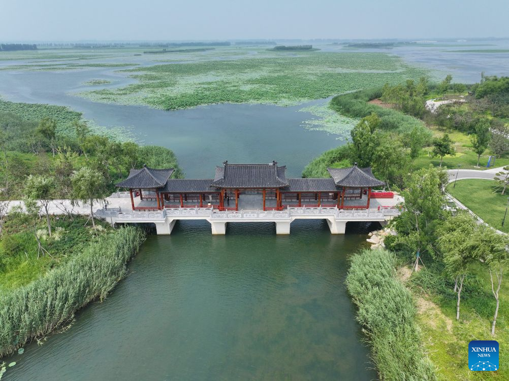 An aerial drone photo taken on June 24, 2026 shows a view of Baiyangdian Lake in Xiong'an New Area, north China's Hebei Province. Since the establishment of Xiong'an New Area, Baiyangdian Lake has undergone large-scale ecological restoration efforts, including pollution control, dredging, ecological water replenishment and wetland restoration. The lake's water quality reached Grade III under China's surface water quality standards in 2021 and has remained stable at that level for five consecutive years. (Xinhua/Mu Yu)