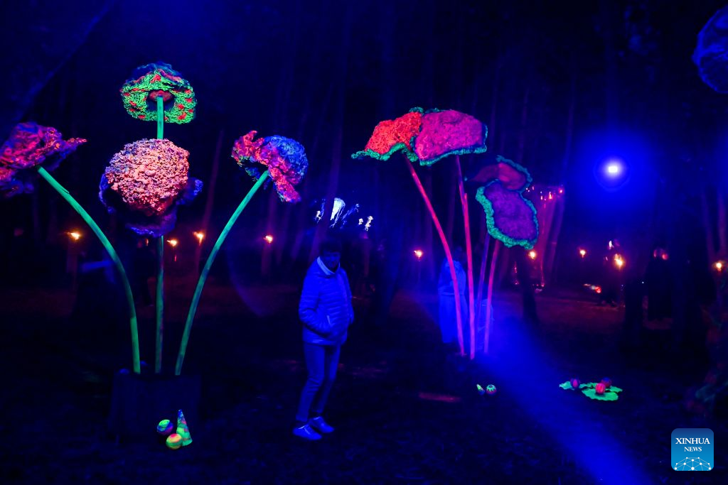 People visit fluorescent installations during the Magic Forest charity event for animals held at Paite Loomapark in Ida-Viru County, northeastern Estonia, Aug. 29, 2026. (Photo by Sergei Stepanov/Xinhua)