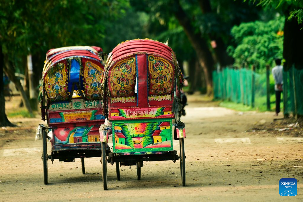 This photo taken on Aug. 22, 2026 shows rickshaws on a street in Dhaka, Bangladesh. In 2023, UNESCO announced the inclusion of Bangladesh's iconic rickshaws and rickshaw painting in Dhaka on the Representative List of the Intangible Cultural Heritage of Humanity. (Photo by Habibur Rahman/Xinhua)