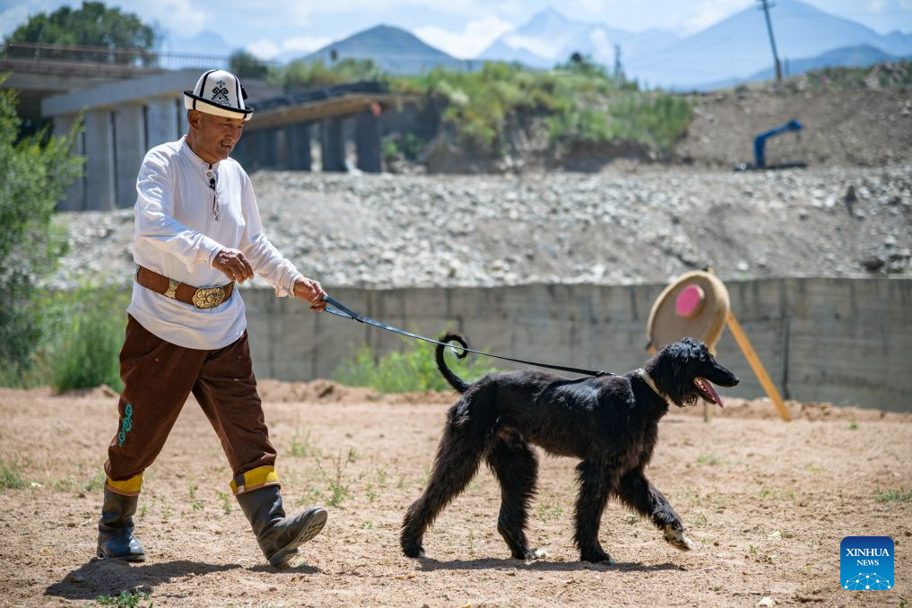 A man is pictured during a hunting performance at a folk arts festival in the Bokonbaevo village at the south bank of the Issyk-Kul Lake, Kyrgyzstan, Aug. 1, 2026. (Xinhua)