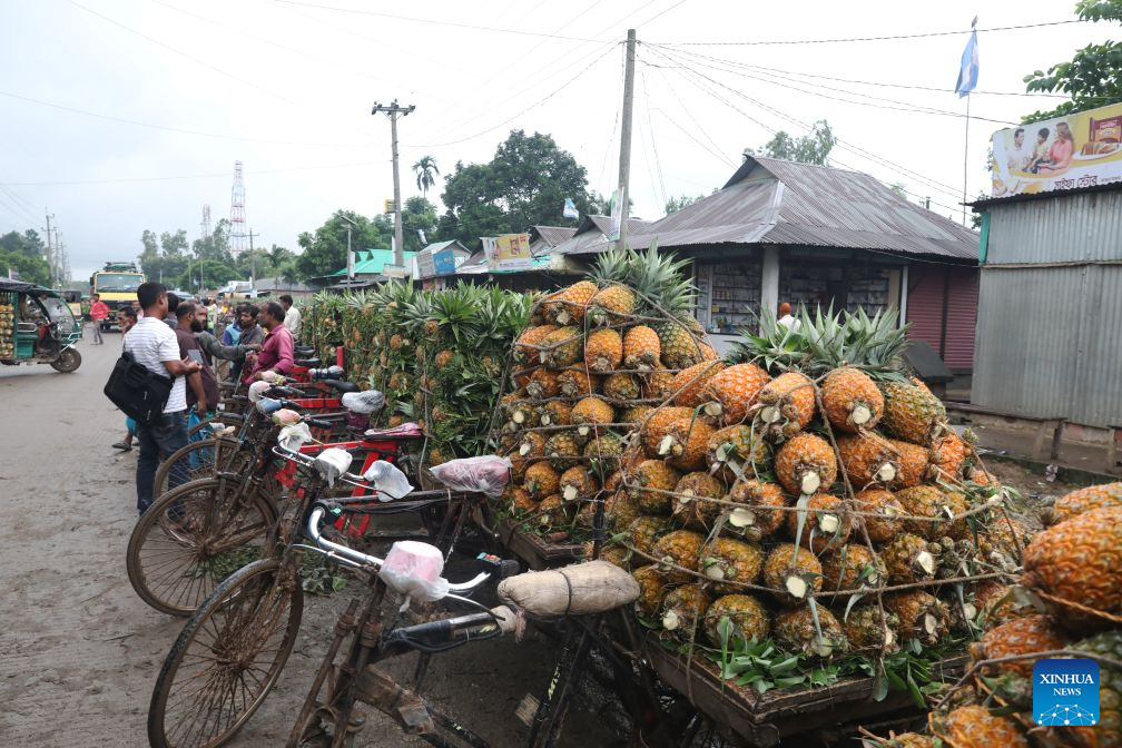 Traders sell pineapples at Jalchhatra Bazaar in Madhupur, Tangail district, Bangladesh, on Aug. 4, 2026. (Photo by Habibur Rahman/Xinhua)