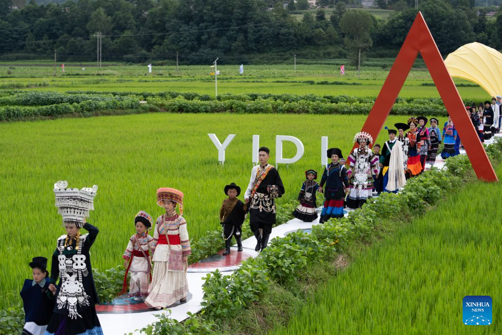 Models dressed in traditional ethnic costumes walk amid a rice field during a fashion show at Qietuo Village in Yuexi County of Liangshan Yi Autonomous Prefecture, southwest China's Sichuan Province, on Aug. 4, 2026. Sixty models from across the Liangshan Yi Autonomous Prefecture on Tuesday showcased traditional ethnic costumes and fashion creations here. (Xinhua/Jiang Hongjing)