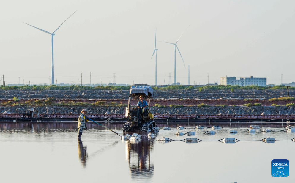 People work at a salt farm in Tangshan City, north China's Hebei Province, Sept. 1, 2026. (Photo by Li Lei/Xinhua)