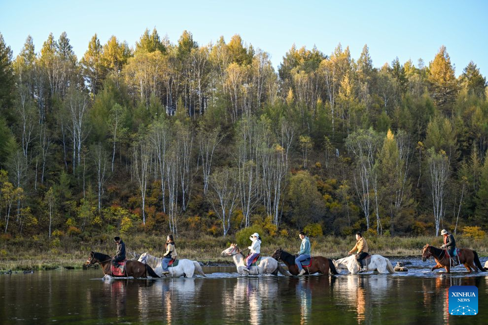 Tourists ride horses at the Arxan National Forest Park in Arxan of Hinggan League, north China's Inner Mongolia Autonomous Region, Sept. 18, 2026. (Xinhua/Bei He)
