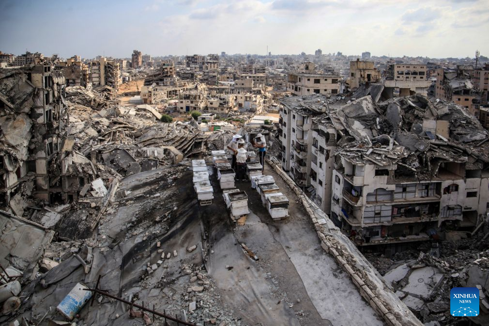 Sons of Palestinian beekeeper Ibrahim al-Dabba, tend to beehives on the roof of a destroyed building in Gaza City's Tel al-Hawa area, Aug. 10, 2026. Before the war, al-Dabba owned more than 400 beehives spreading across eastern Gaza. Gaza's Ministry of Agriculture said the war had damaged around 28,400 beehives across the Strip. (Photo by Rizek Abdeljawad/Xinhua)