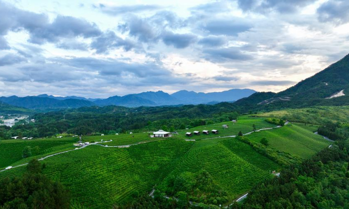 A drone photo taken on May 15, 2026 shows a view of the tea gardens in Luxi Village of Jingde County, Xuancheng City, east China's Anhui Province. (Xinhua/Zhou Mu)
